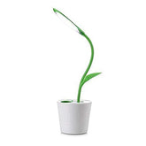 Decorative Light Lamp