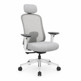 Mesh Ergonomic High Back Desk Chair with 4D Adjustable Armrests & 1D Lumbar Support