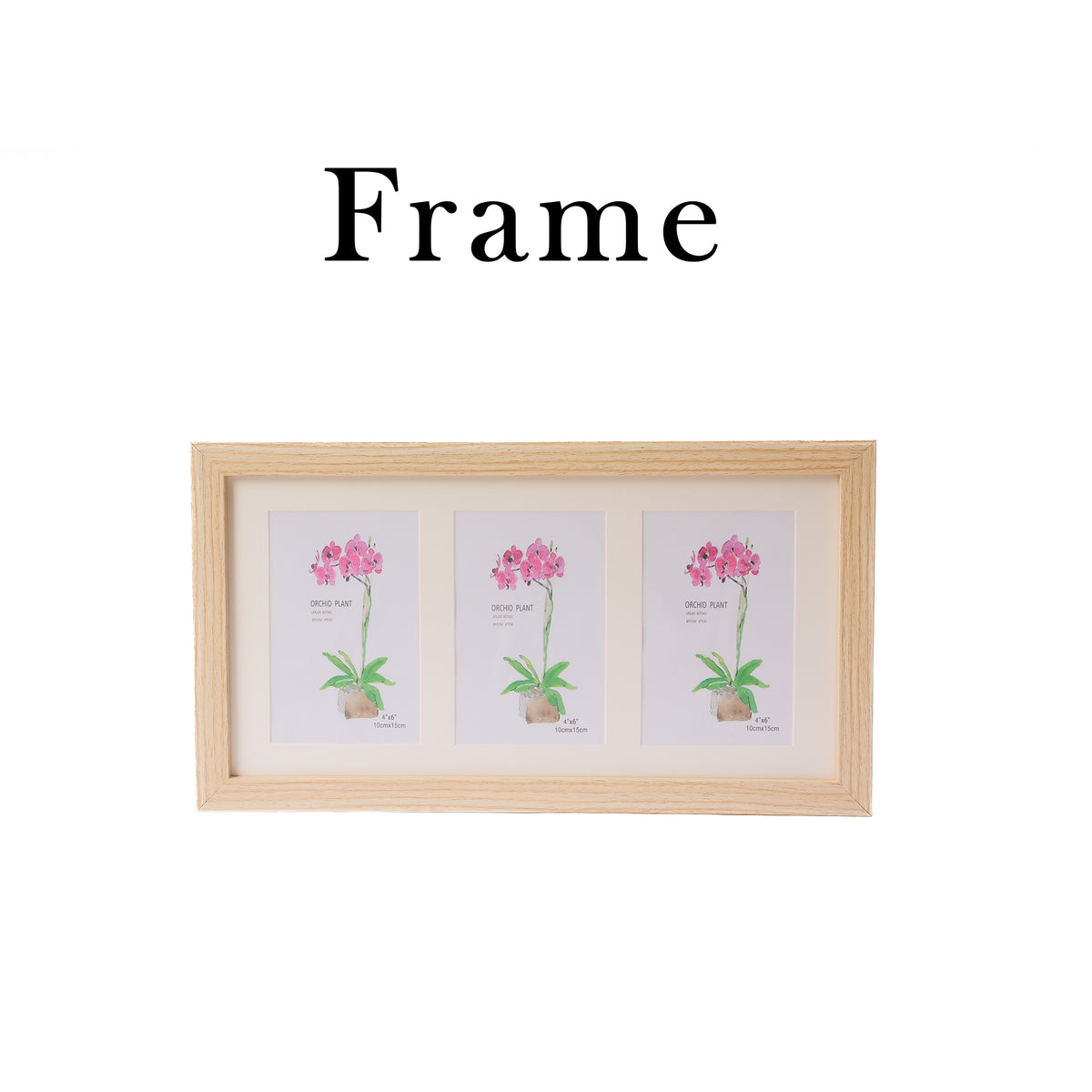 Cactus Image Frame – Add a Touch of Green Charm