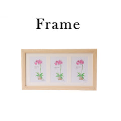 Cactus Image Frame – Add a Touch of Green Charm