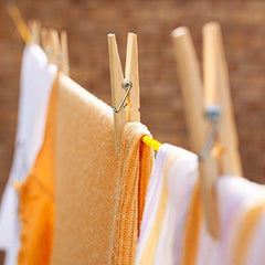 Bamboo clip  20-Piece Set