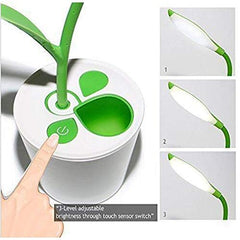 Decorative Light Lamp