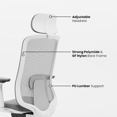 Mesh Ergonomic High Back Desk Chair with 4D Adjustable Armrests & 1D Lumbar Support