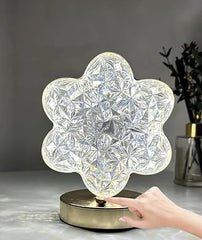 Beautiful Decorative LED Light
