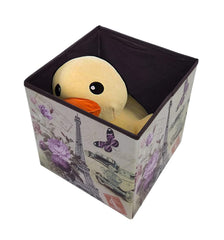 Vintage Paris Printed Folding Storage Box