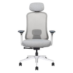 Mesh Ergonomic High Back Desk Chair with 4D Adjustable Armrests & 1D Lumbar Support