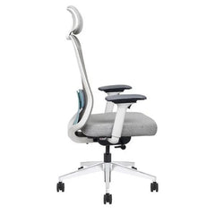 Mesh Ergonomic High Back Desk Chair with 4D Adjustable Armrests & 1D Lumbar Support