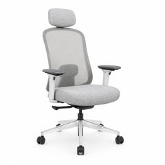 Mesh Ergonomic High Back Desk Chair with 4D Adjustable Armrests & 1D Lumbar Support