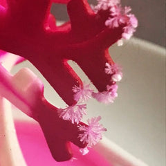 Magic Growing Xmas Tree Toy DIY