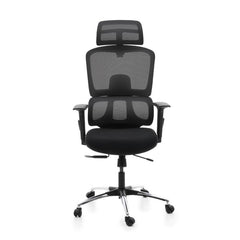 High Back Mesh Office Chair with Headrest & Lumbar Support | Adjustable Swivel Computer Chair with Wheels | Executive Work From Home Chair (Black)
