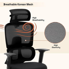 High Back Mesh Office Chair with Headrest & Lumbar Support | Adjustable Swivel Computer Chair with Wheels | Executive Work From Home Chair (Black)