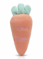 Fun Carrot Design Bath Loofah