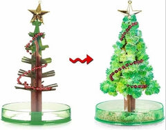 Magic Growing Xmas Tree Toy DIY